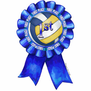 Photo Sculpture Rubans de volleyball 1er