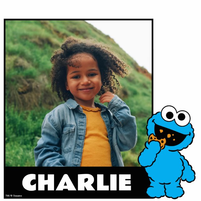 Photo Sculpture Rue Sésame | Cookie Monster (Devant)