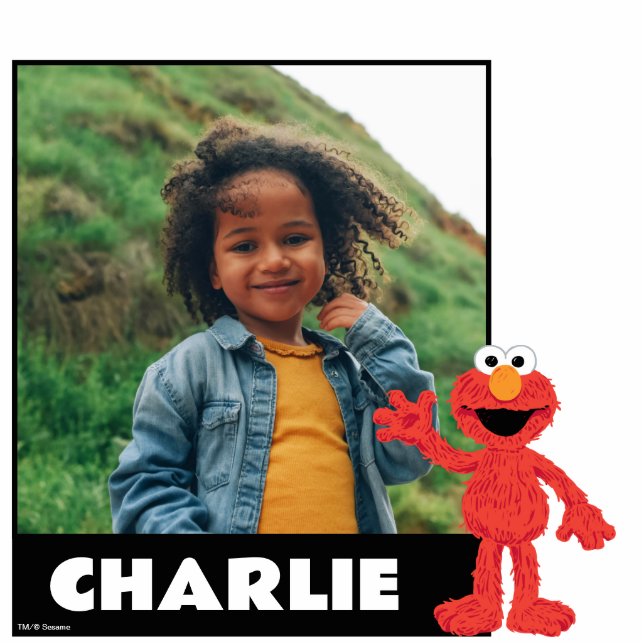 Photo Sculpture Rue Sésame | Cookie Monster (Devant)