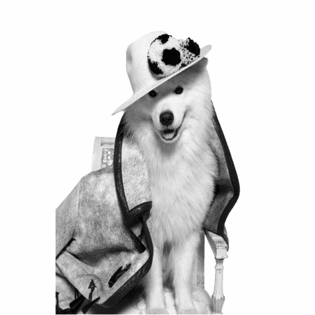 Photo Sculpture Samoyed Plv Standee (Devant)