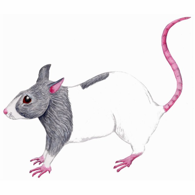 Photo Sculpture sculpture à capuchon bleu (Devant)