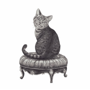 Photo Sculpture Sculpture Alice en photo de chat de Cheshire au