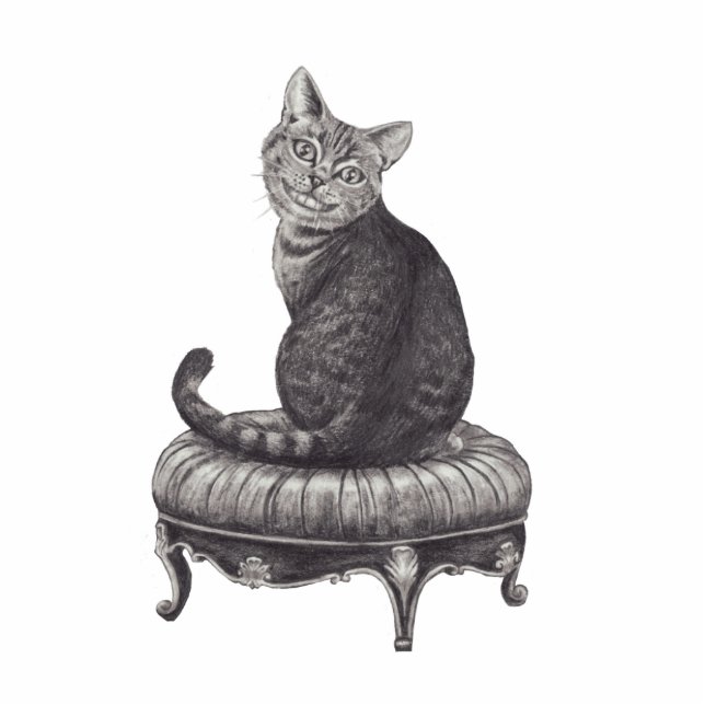 Photo Sculpture Sculpture Alice en photo de chat de Cheshire au (Devant)