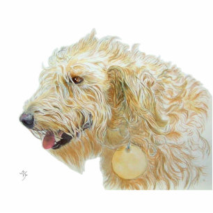Photo Sculpture Sculpture crème en Labradoodle