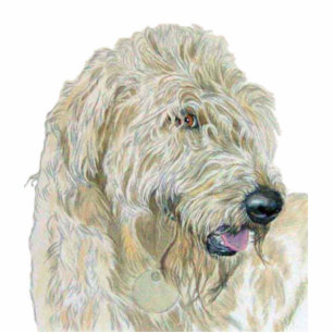 Photo Sculpture Sculpture crème en Labradoodle