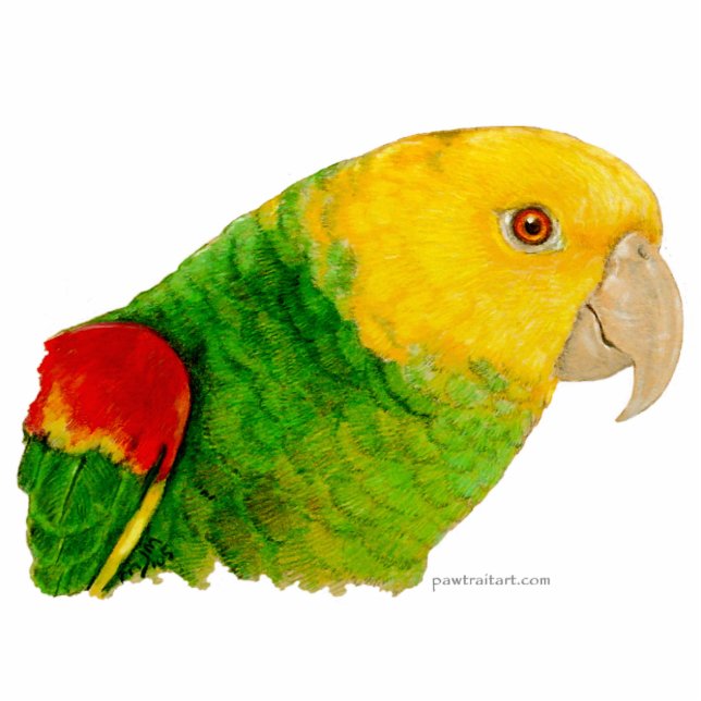 Photo Sculpture Sculpture - double Amazone dirigée jaune (Devant)