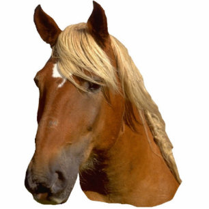 Photo Sculpture Sculpture en cheval mained bel par or