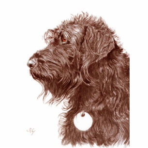 Photo Sculpture Sculpture en Labradoodle de chocolat