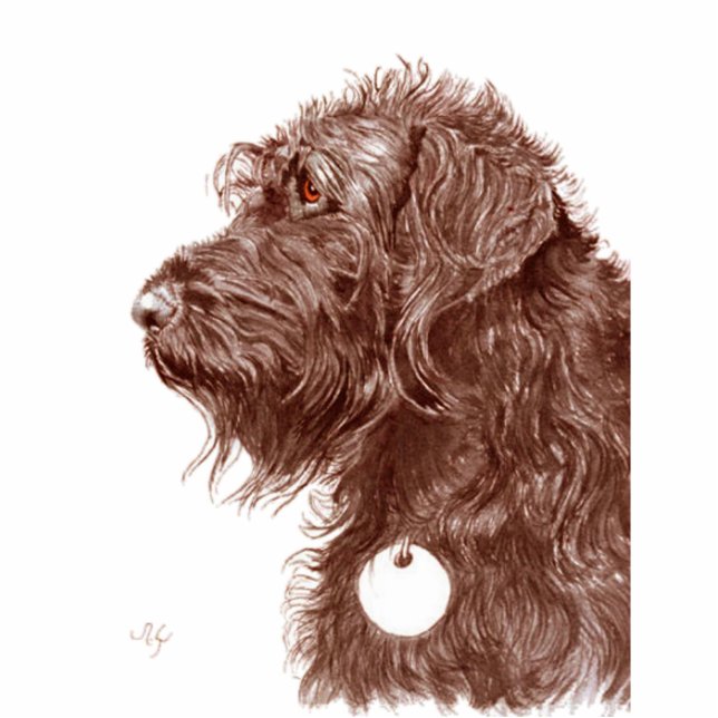 Photo Sculpture Sculpture en Labradoodle de chocolat (Devant)