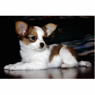 Photo Sculpture Sculpture en photo de chiot de Papillon