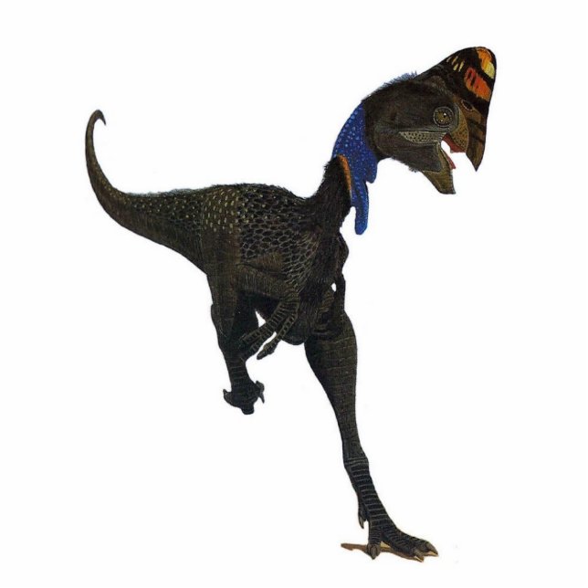 Photo Sculpture Sculpture Oviraptor Gregory Paul en photo de (Devant)