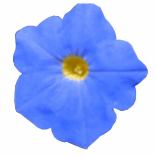 Photo Sculpture Sculpture photo bleu et jaune Petunia