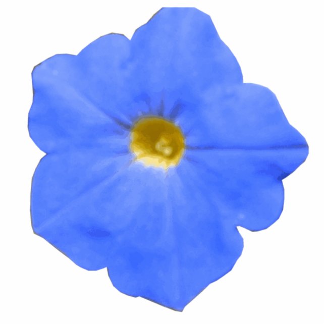 Photo Sculpture Sculpture photo bleu et jaune Petunia (Devant)