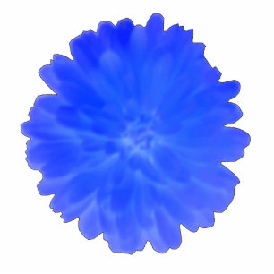 Photo Sculpture Sculpture photo Blue Marigold