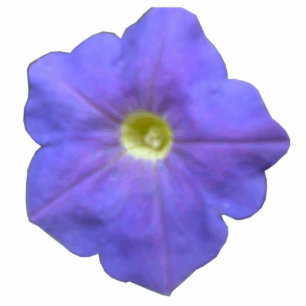 Photo Sculpture Sculpture photo Blue Petunia