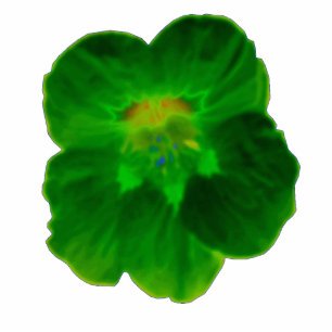 Photo Sculpture Sculpture photo de Nasturtium Vert