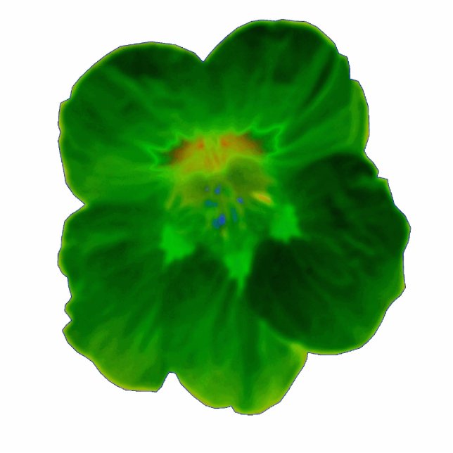 Photo Sculpture Sculpture photo de Nasturtium Vert (Devant)