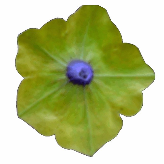 Photo Sculpture Sculpture photo Petunia Green et Blue (Devant)