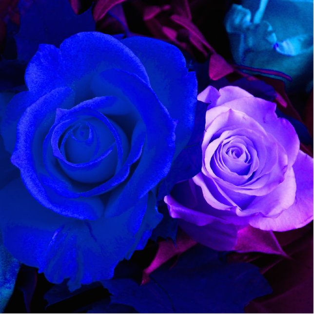 Photo Sculpture Sculpture photo Rose bleu violet (Devant)