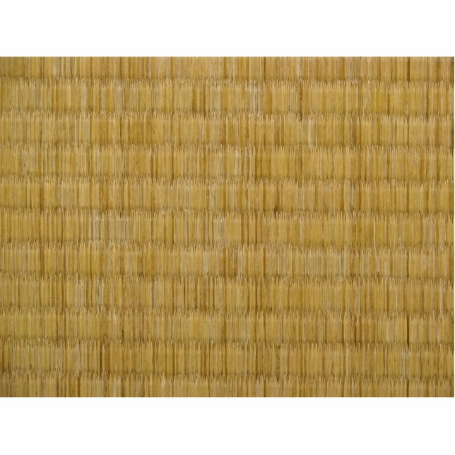 Photo Sculpture Tatami Mat 畳 (Devant)