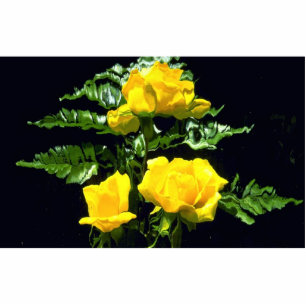 Photo Sculpture Trois roses jaunes