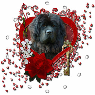 Photo Sculpture Valentines - clé à mon coeur - Terre-Neuve
