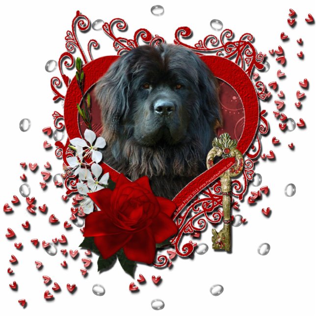 Photo Sculpture Valentines - clé à mon coeur - Terre-Neuve (Devant)
