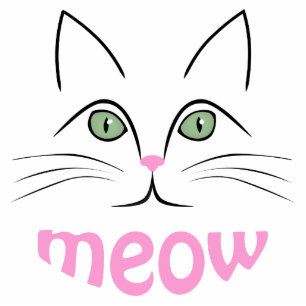 Photo Sculpture Visage de chat