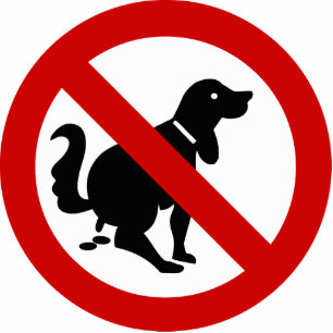 Photo Sculpture VOYAGE ⚠ THAÏE NO DOG Fouling ⚠