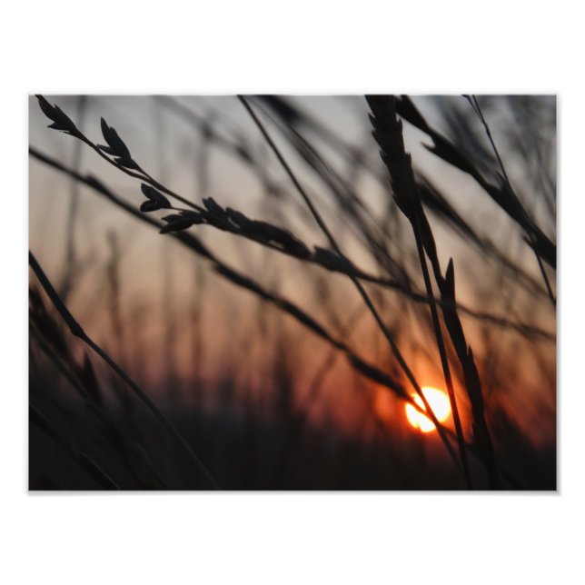 Photo Sunset Kodak Professional Photo (Devant)