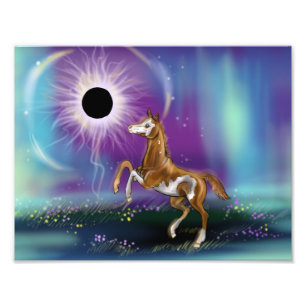 Photo Suprise Eclipse Baby Horse impression atelier
