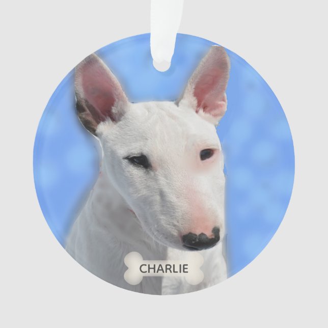 Photo Taureau Terrier Personnalisé (devant)