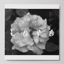 Love Home Décor Signal