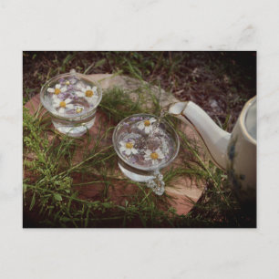 Photo vintage   Carte postale Tea Nature Fleur sau