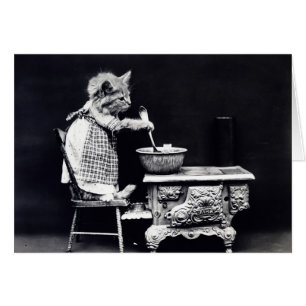 Photo vintage - chat faisant cuire un repas,