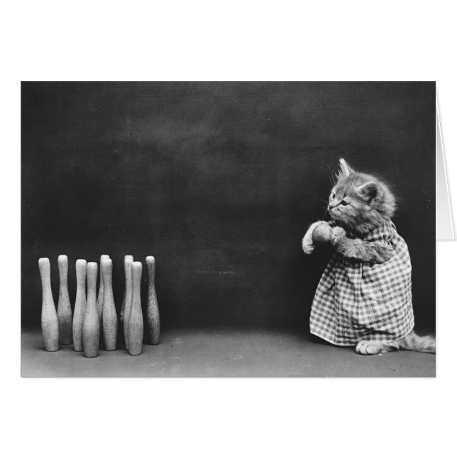 Photo vintage - chaton de bowling (Devant horizontal)