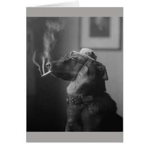 Photo vintage - chien de tabagisme,