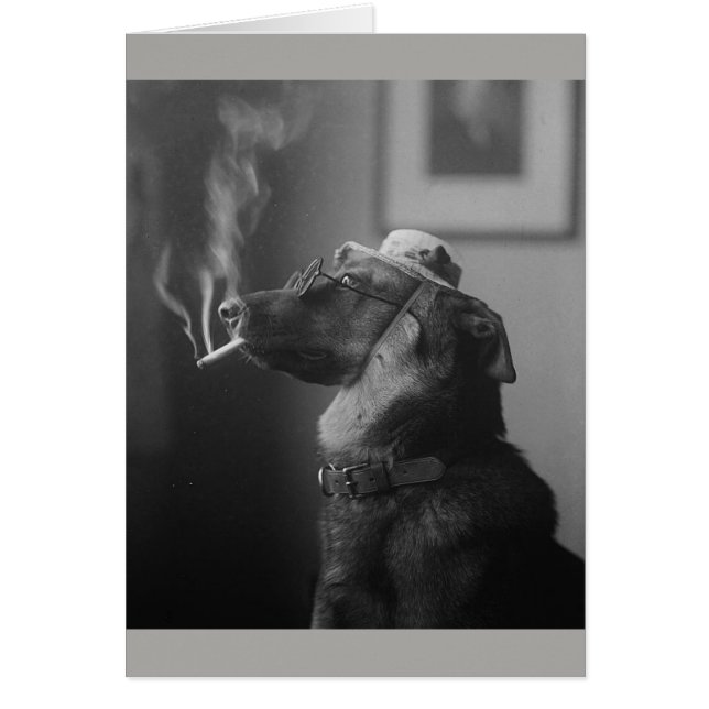 Photo vintage - chien de tabagisme, (Devant)
