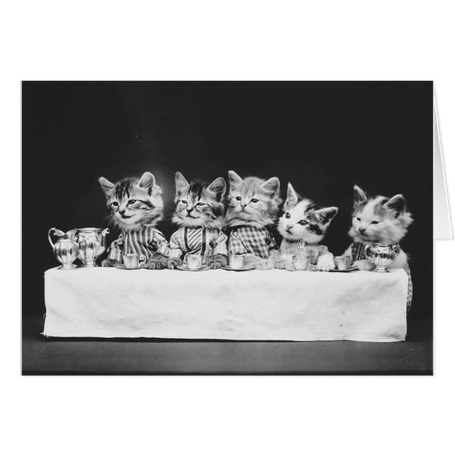 Photo vintage - Kittens With Tea, (Devant horizontal)