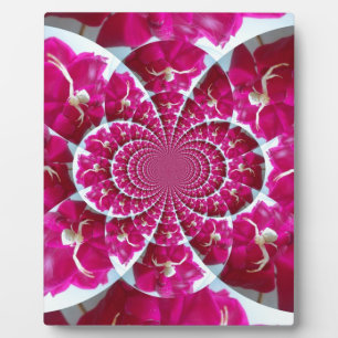 Photo White Spider on a Beautiful Red Rose Plaque