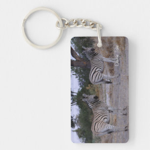 Photo Zebra Double Take