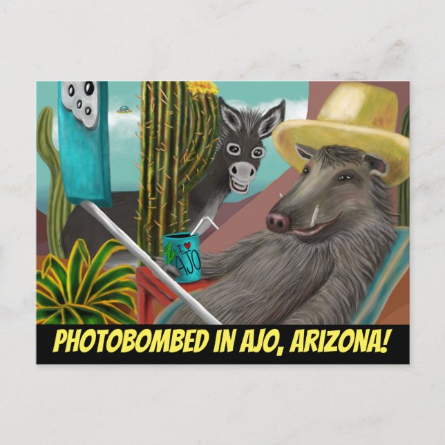 Photobombé à Ajo Arizona, Carte postale d'Arizona (Devant)