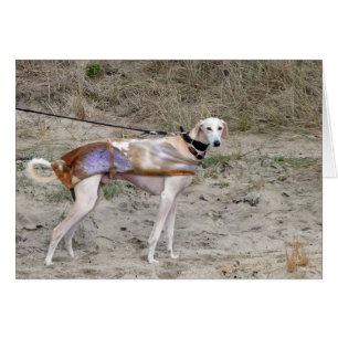 Photocard de Lurcher