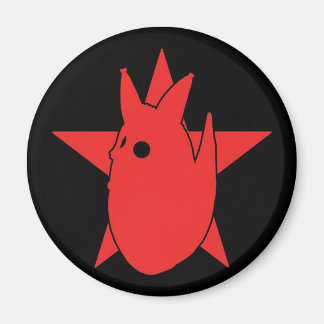 PHOTOCOYOTE MAGNET