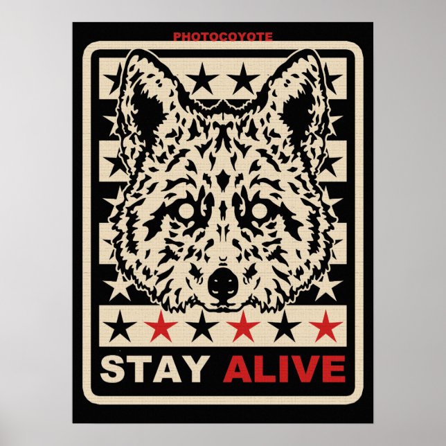 Photocoyote poster 2014 1 (Vorne)