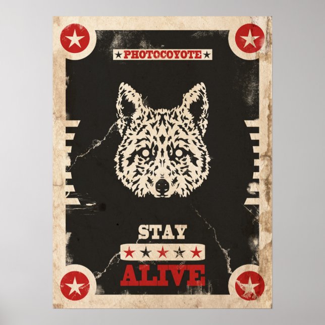 Photocoyote poster 2014 3 (Vorne)