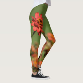 Photogamaschen eine rote Blume Leggings