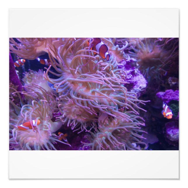 Photograph #Y008 on LARGE Photograph Fotodruck (Vorne)