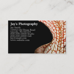 Photographe Carte de visite