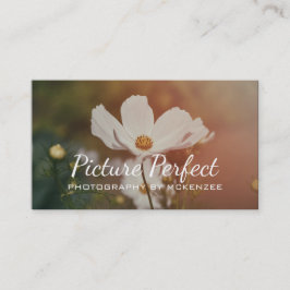 Photographe,Photographie, Carte de visite